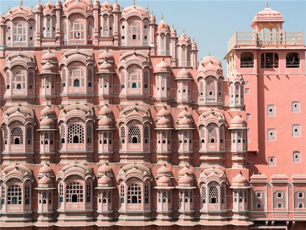Family vacation to India, sightseeing and safari