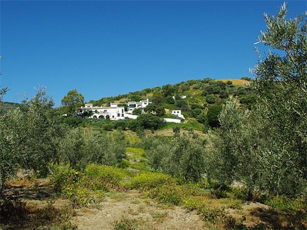 Walking in Andalucia, Spain