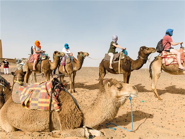 Morocco vacation, small group