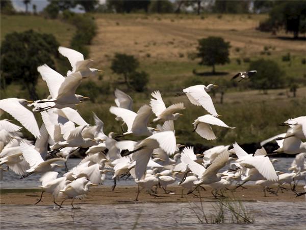 Okavango Delta safari in Botswana