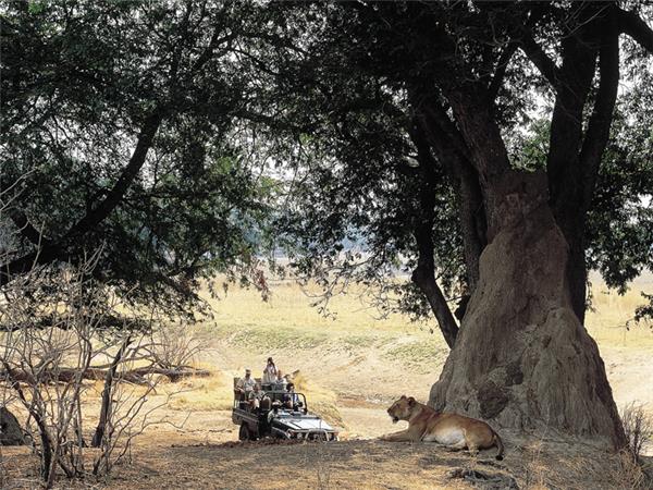 Okavango Delta safari in Botswana