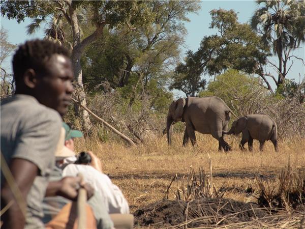 Okavango Delta safari in Botswana