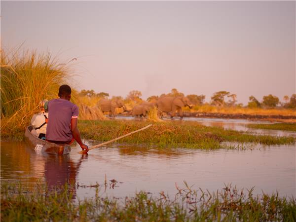 Okavango Delta safari in Botswana