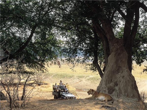Okavango Delta safari in Botswana