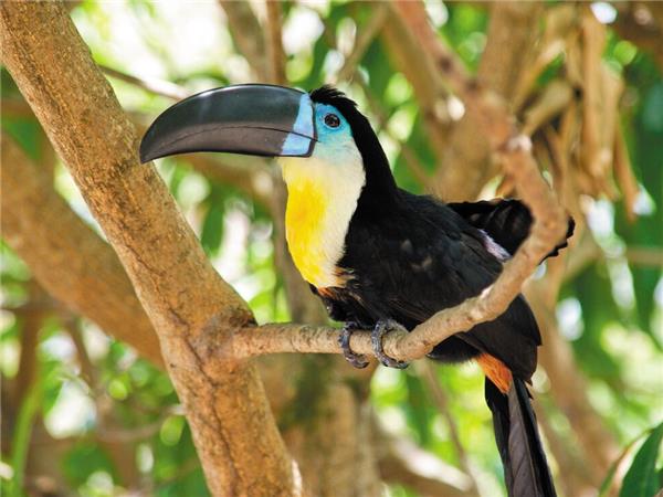 Mexico, Belize & Guatemala tour, Mayan encounter