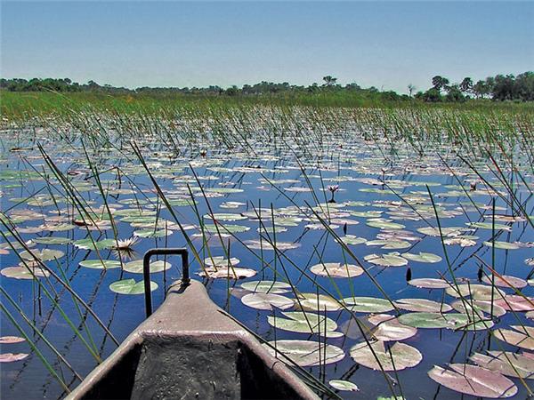 Vic Falls to Johannesburg tour, Southern Africa