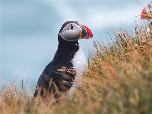 Iceland holiday, small group