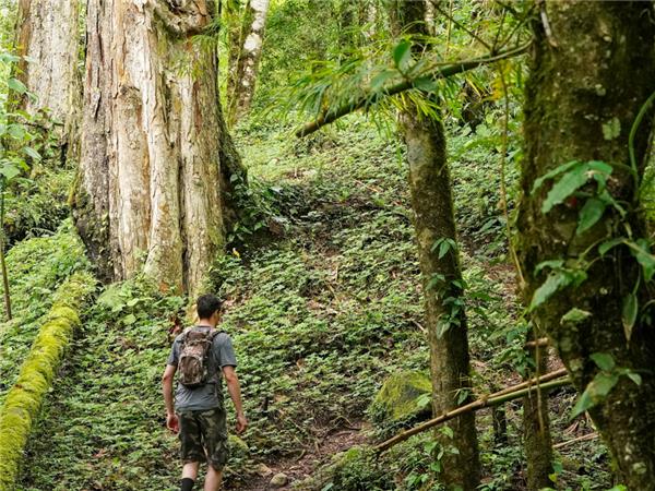 Costa Rica & Panama tour