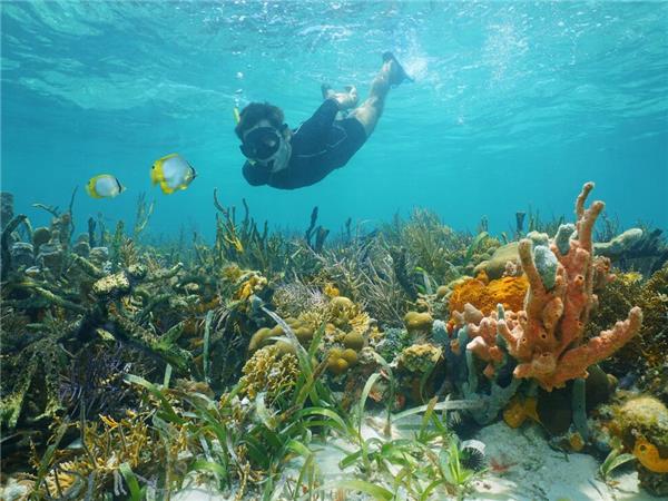 Costa Rica & Panama tour