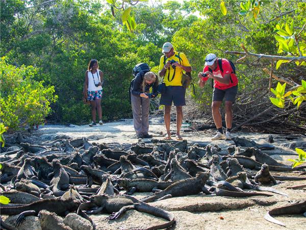 Galapagos & Inca Trail tour