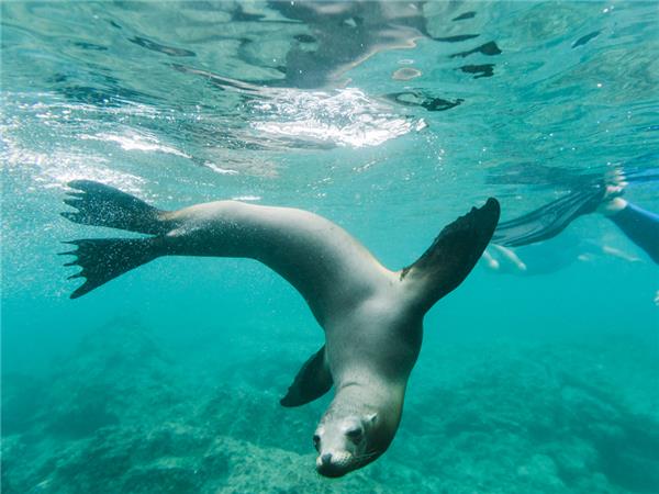 Galapagos family vacation