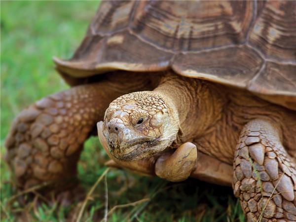 Galapagos family vacation