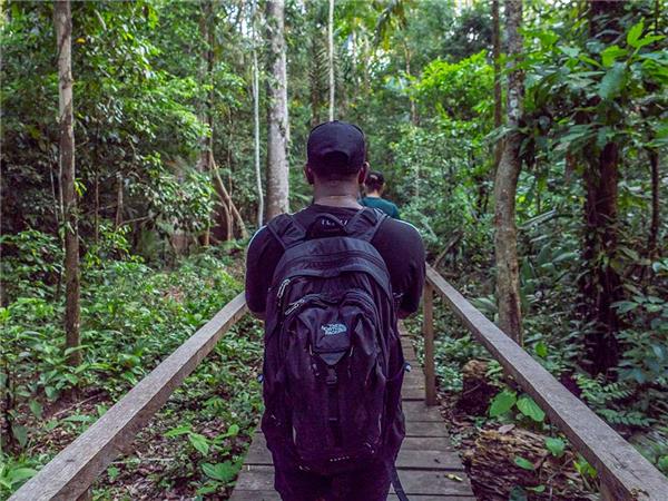 Peru Amazon tour, 4 days