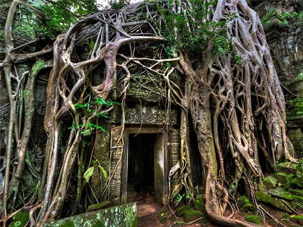 Angkor Wat tour, 3 days
