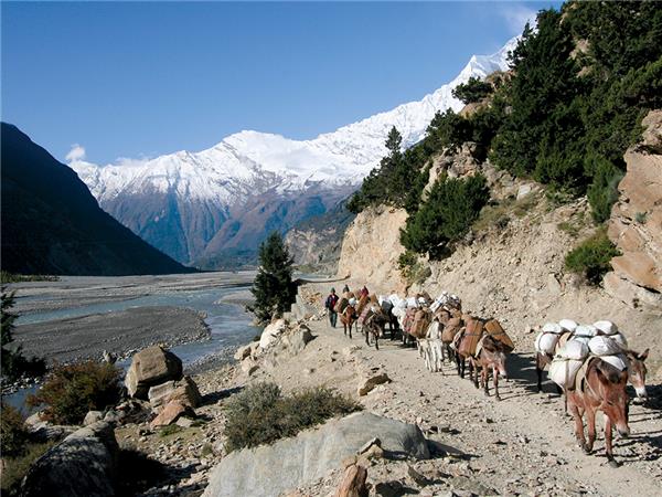 Annapurna Sanctuary trekking vacation