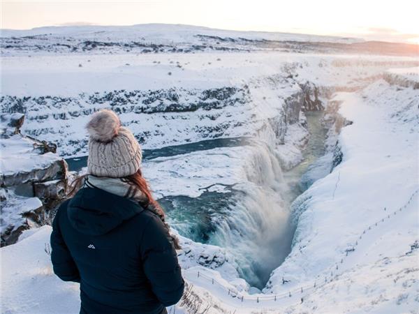 Northern Lights tour in Iceland