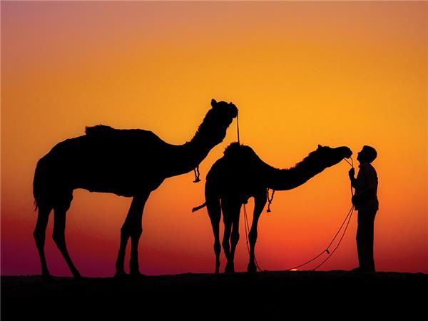 India adventure tour, 37 days