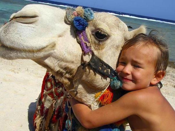 Family culture & adventure vacation to Egypt