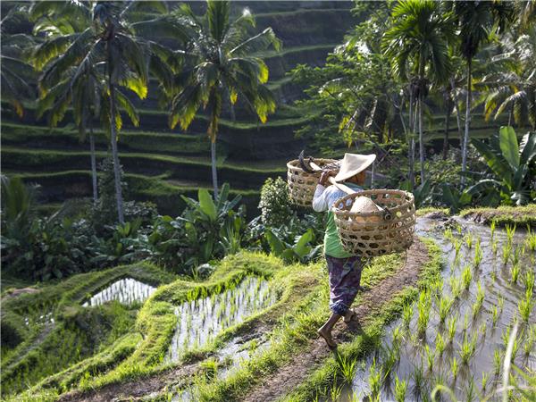 Bali family holiday with teenagers