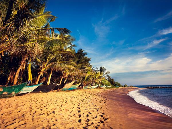 Family vacation in Sri Lanka
