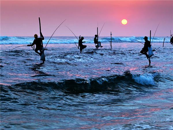Family vacation in Sri Lanka