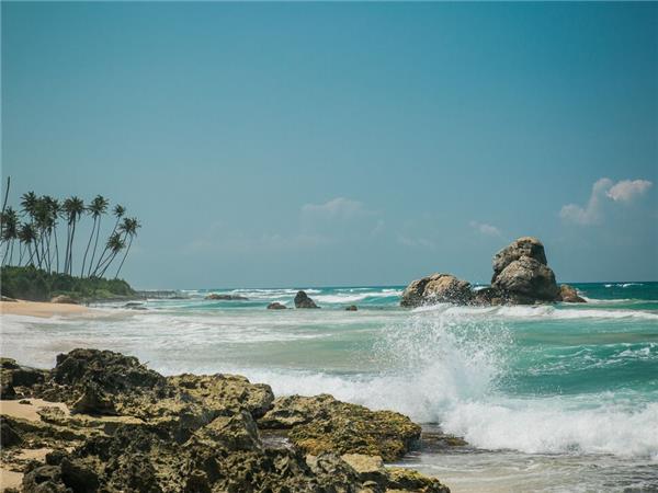 Family vacation in Sri Lanka