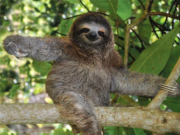 Costa Rica family adventure vacation