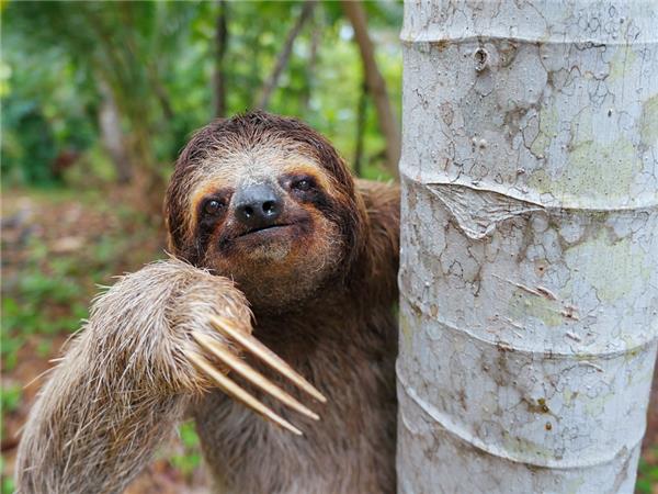 Costa Rica family adventure vacation