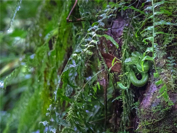 Costa Rica family adventure vacation