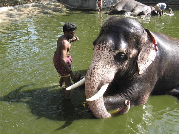 Kerala and tropical India cycling vacations
