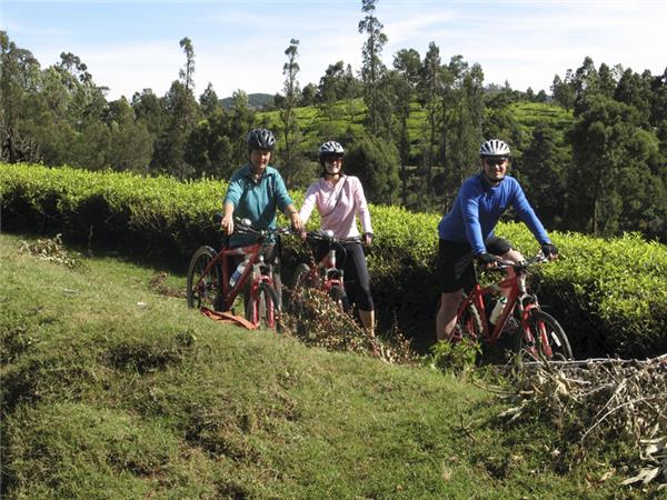 Kerala and tropical India cycling vacations