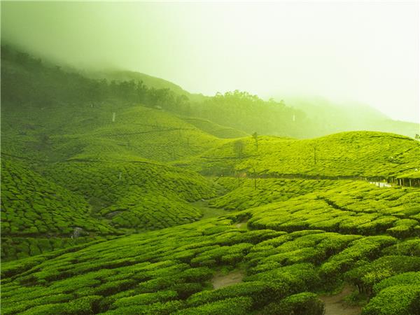 Kerala and tropical India cycling vacations