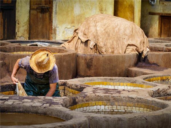 Highlights of Morocco vacation