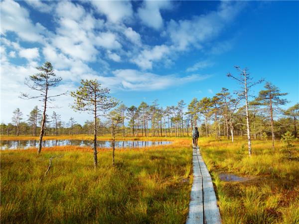 Estonia, Latvia and Lithuania vacation