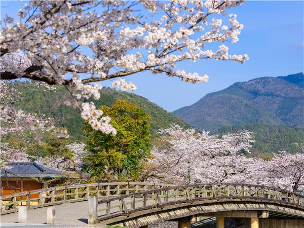 Highlights of Japan small group tour