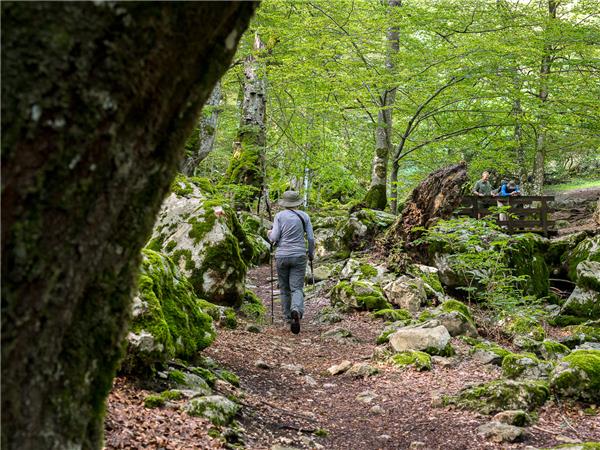Appennines nature and walking vacation, Italy