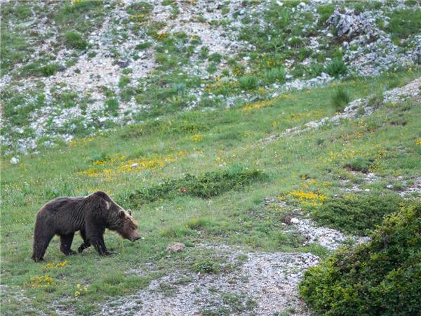 Appennines nature and walking vacation, Italy