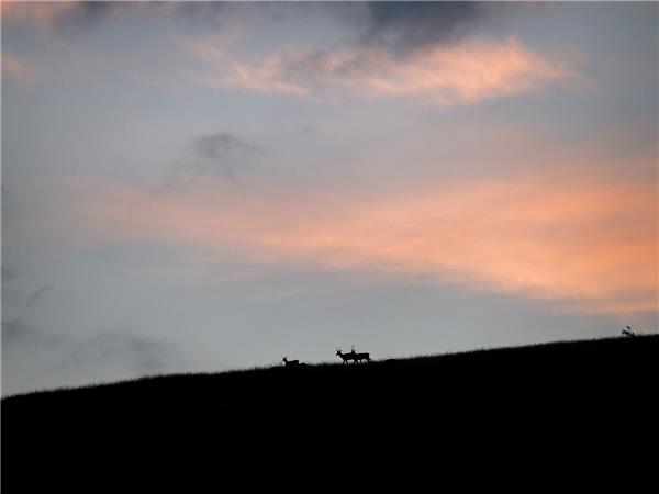 Appennines nature and walking vacation, Italy