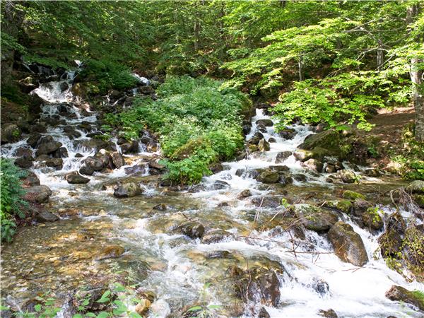 North Albania and Kosovo guided tour