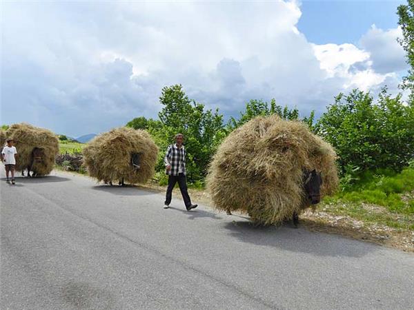 Cycling vacation in Macedonia & Northern Albania