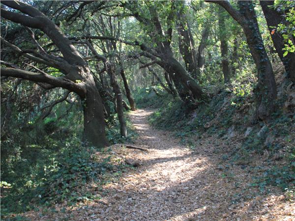 Catalonia coastal walking vacation, Spain
