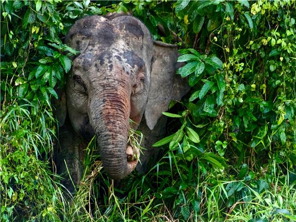 Borneo and Malaysia small group holiday