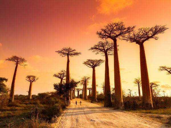 Madagascar vacation, overland adventure