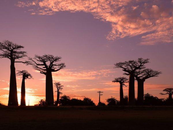 Madagascar vacation, overland adventure
