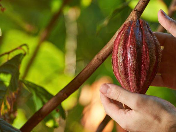 Colombia adventure vacation, viva Colombia