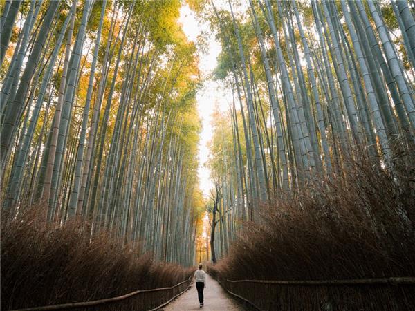 vacation in Japan