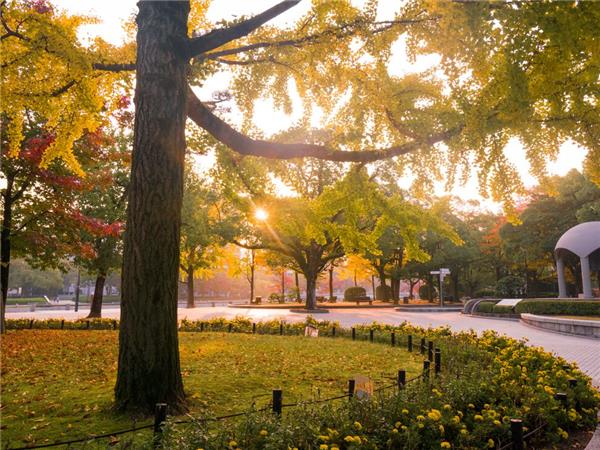vacation in Japan