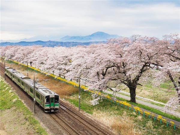 vacation in Japan