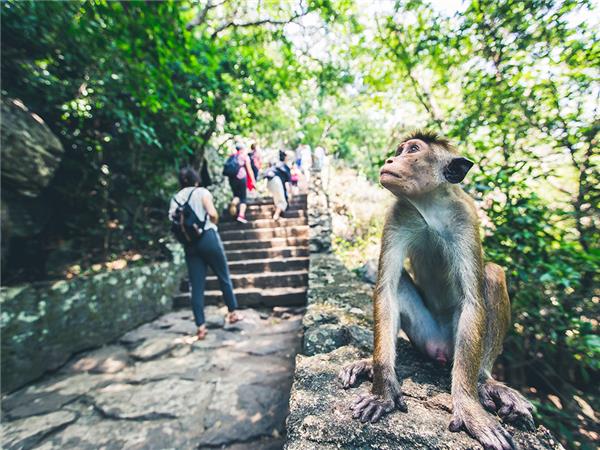 Adventure vacation to Sri Lanka