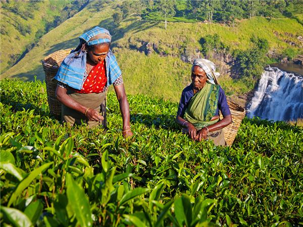 Adventure vacation to Sri Lanka